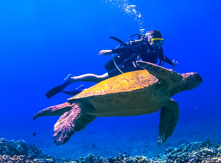 Scuba Upgrade Option